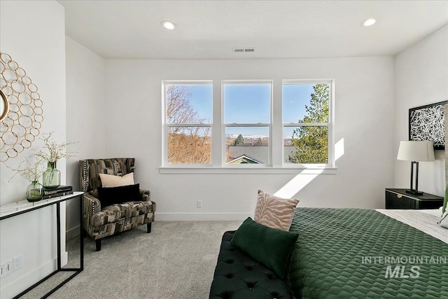 8126 N Breezy Ave, Boise, ID 83714 - view of carpeted bedroom