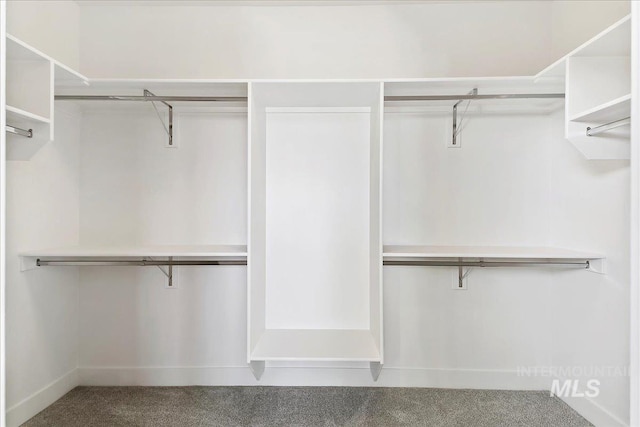 8126 N Breezy Ave, Boise, ID 83714 - spacious closet with carpet