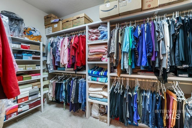 3283 Willow Cir, Twin Falls, ID 83301 - spacious closet with carpet