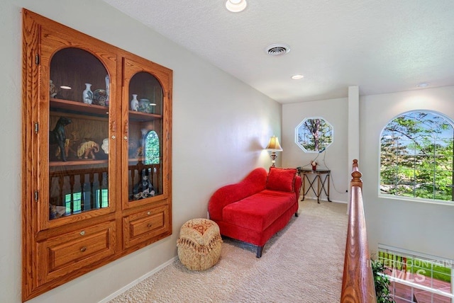 3283 Willow Cir, Twin Falls, ID 83301 - living area featuring carpet flooring and plenty of natural light