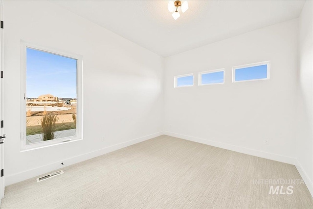 carpeted spare room with a wealth of natural light