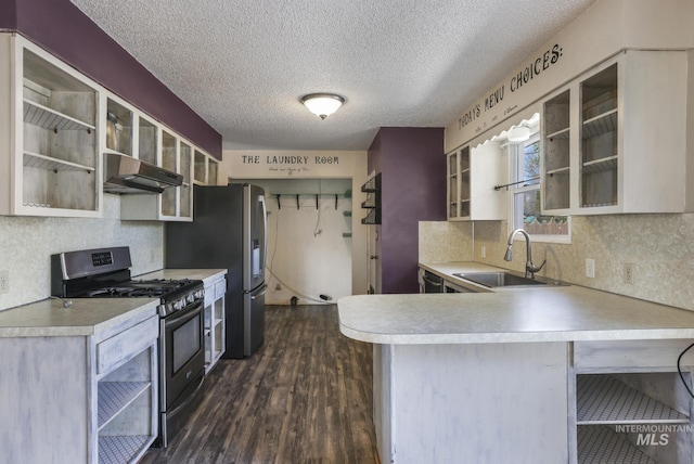 kitchen with tasteful backsplash, a textured ceiling, ventilation hood, appliances with stainless steel finishes, and a sink