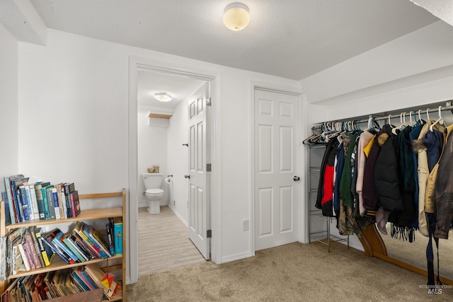 spacious closet featuring light carpet