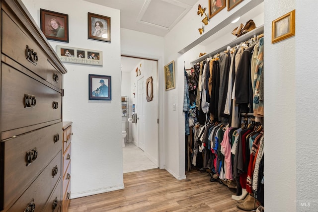 spacious closet featuring light hardwood / wood-style floors