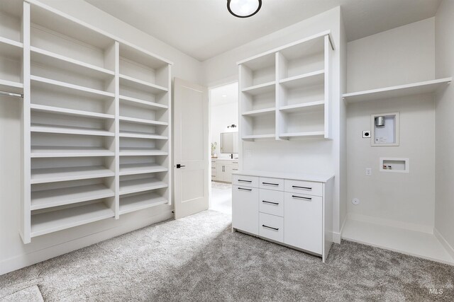 walk in closet with light colored carpet