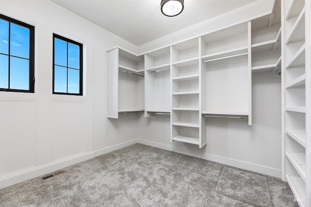 walk in closet featuring carpet floors