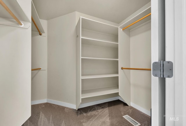 spacious closet with carpet flooring