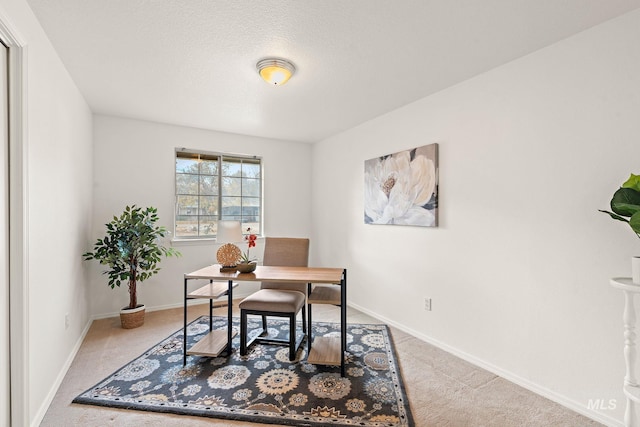 office with carpet, baseboards, and a textured ceiling