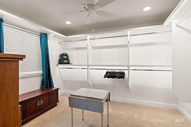 spacious closet featuring carpet floors and ceiling fan