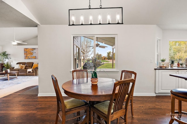 dining room featuring lofted ceiling, a wealth of natural light, and dark wood-type flooring