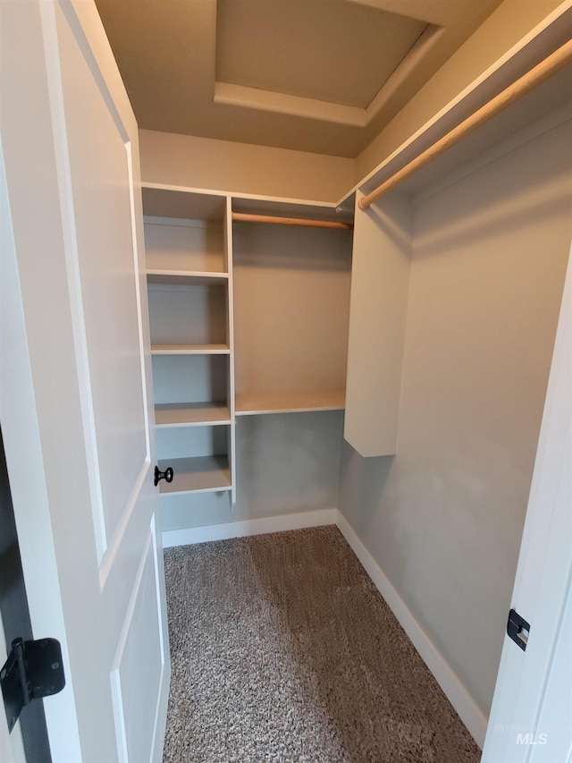 spacious closet featuring attic access and carpet