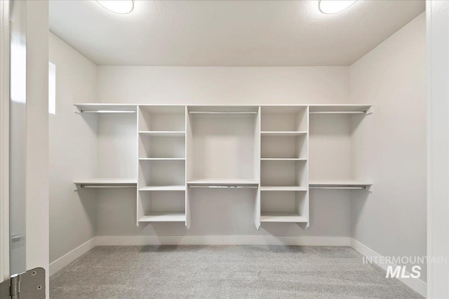 spacious closet with carpet flooring