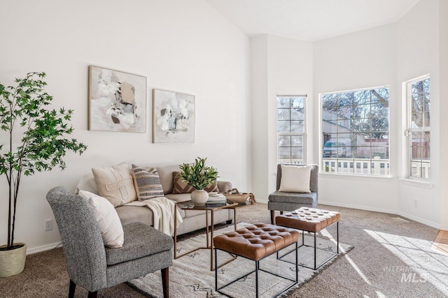 view of carpeted living room