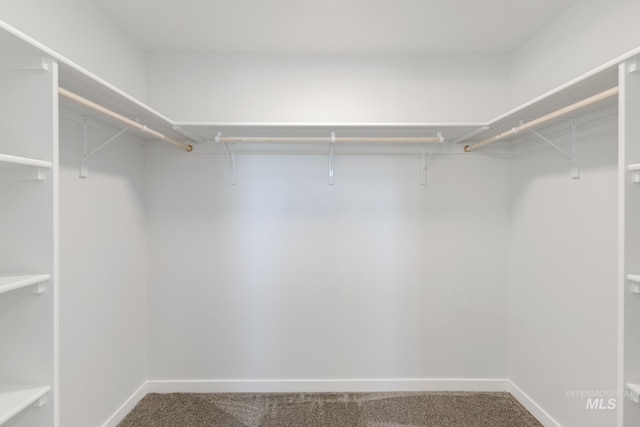 4353 N Magical Creek Ave, Meridian, ID 83646 - spacious closet with carpet floors