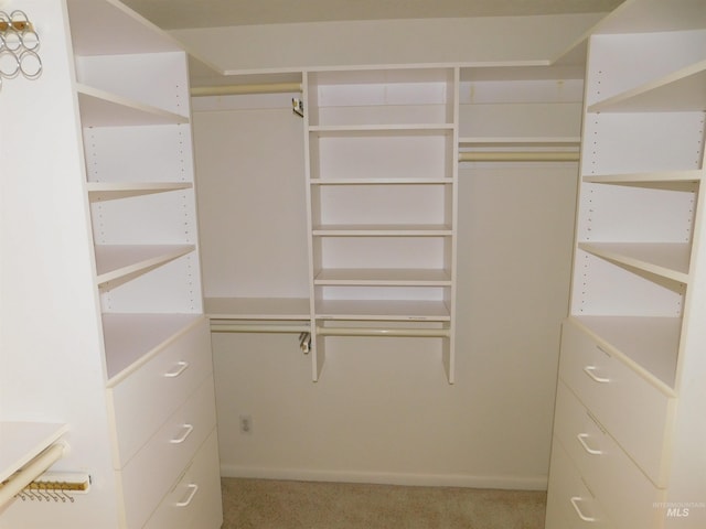 24405 Red Top, Wilder, ID 83676 - walk in closet with light carpet