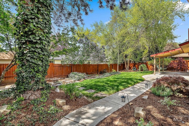 view of yard with a fenced backyard and a playground