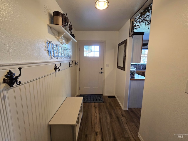 doorway featuring dark hardwood / wood-style floors and a healthy amount of sunlight