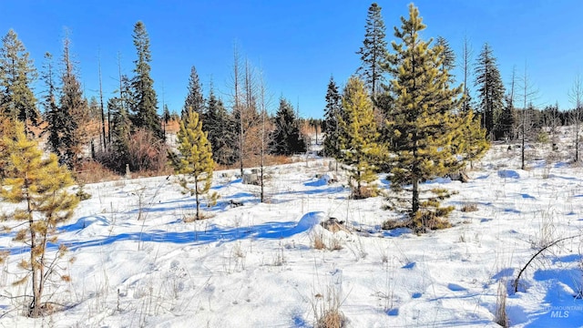 Listing photo 3 for TBD Upper Fords Creek, Orofino ID 83544