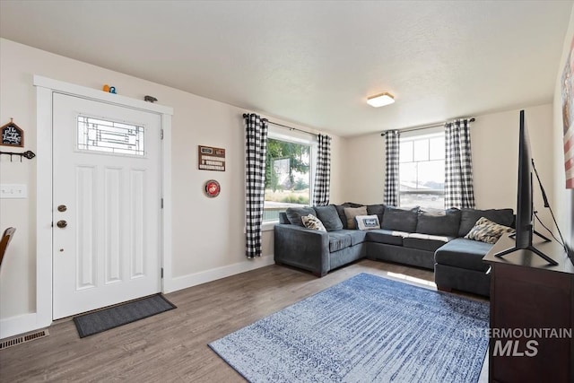 living room with hardwood / wood-style flooring