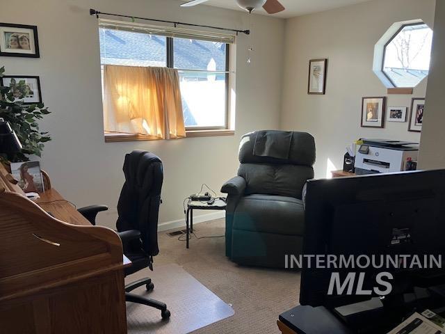 office space featuring carpet flooring, baseboards, visible vents, and ceiling fan