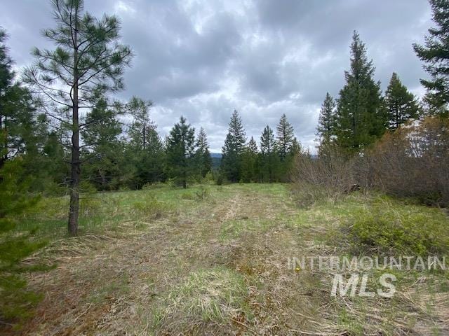 Listing photo 2 for 104 Coit Dr, Cascade ID 83611