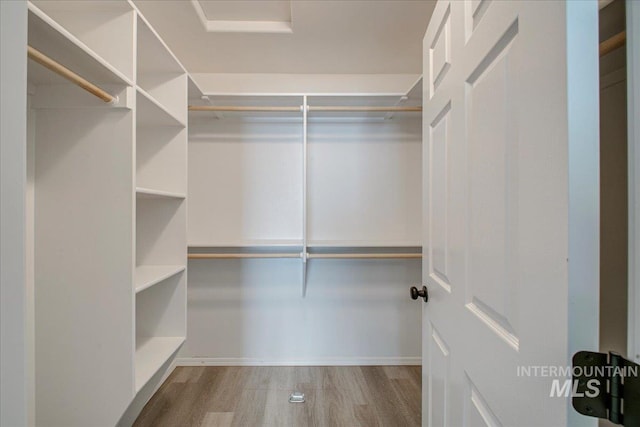 10683 W Capella St, Star, ID 83669 - spacious closet with light hardwood / wood-style flooring