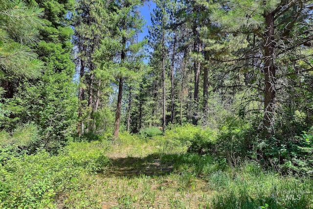 30 Syringa, Garden Valley, ID 83622