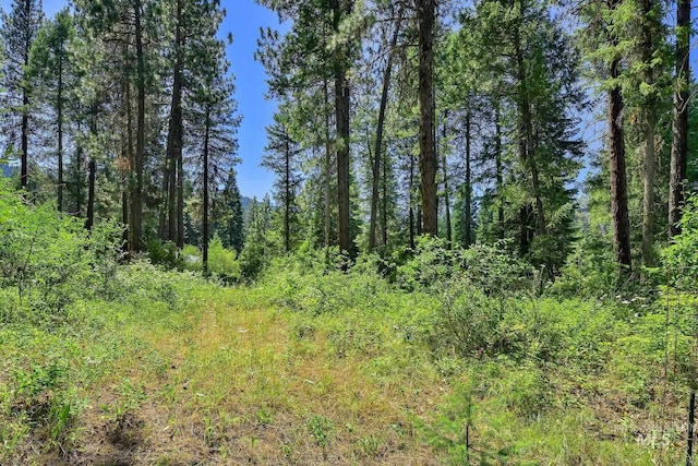 30 Syringa, Garden Valley, ID 83622