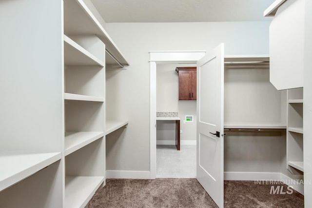 walk in closet featuring light colored carpet