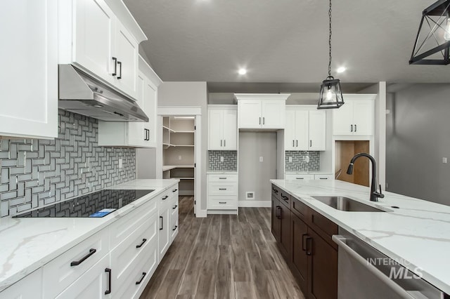 kitchen featuring white cabinetry, dark hardwood / wood-style flooring, stainless steel dishwasher, and sink