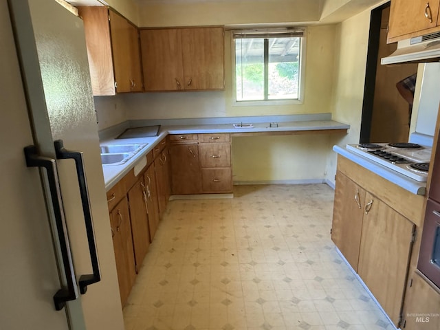 187 Harmony Heights Loop, Orofino, ID 83544 - kitchen with under cabinet range hood, light flooring, white electric cooktop, a sink, and light countertops