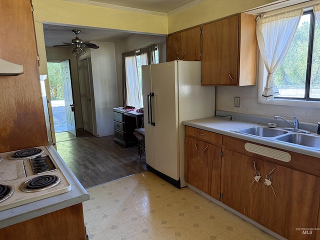 187 Harmony Heights Loop, Orofino, ID 83544 - kitchen featuring a sink, freestanding refrigerator, healthy amount of natural light, and light countertops