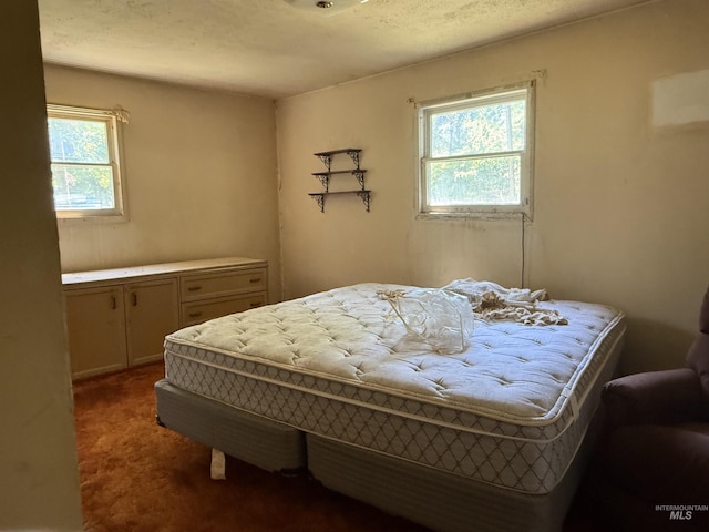 187 Harmony Heights Loop, Orofino, ID 83544 - carpeted bedroom featuring multiple windows
