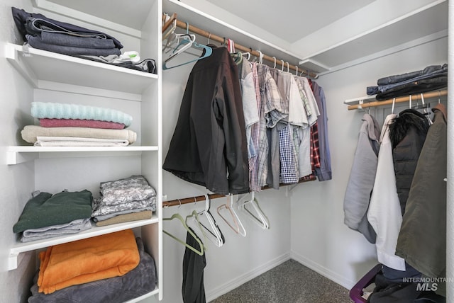 spacious closet featuring carpet