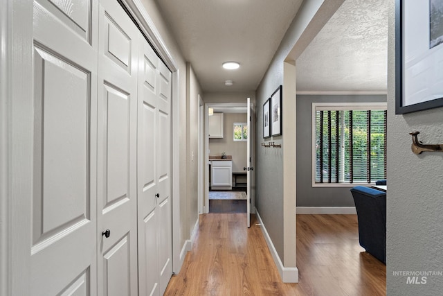 4545 N Columbine St, Boise, ID 83646 - corridor with healthy amount of natural light, light wood finished floors, baseboards, and ornamental molding