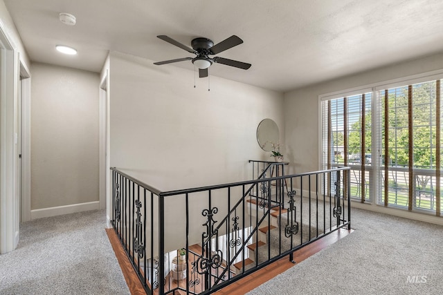 4545 N Columbine St, Boise, ID 83646 - hall featuring an upstairs landing, carpet flooring, and baseboards