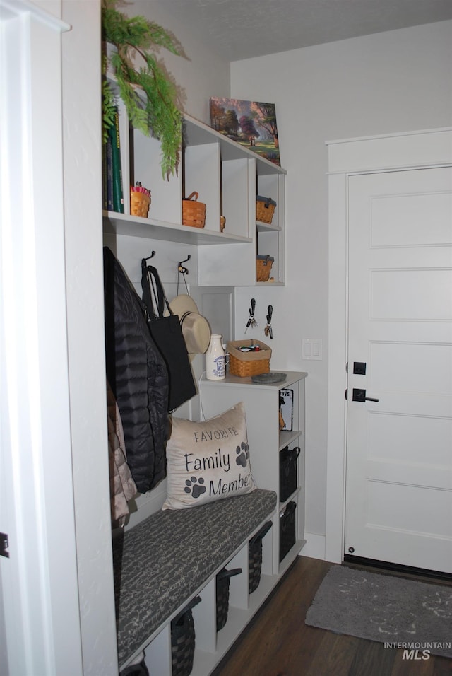 mudroom with dark wood-type flooring