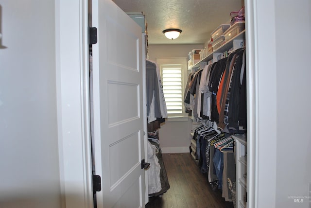 walk in closet featuring dark wood finished floors