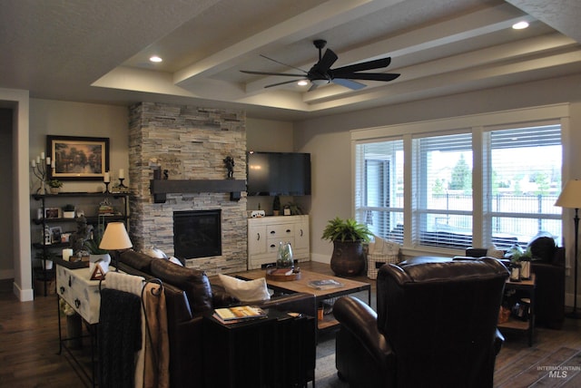 living area featuring a raised ceiling, wood finished floors, and a fireplace