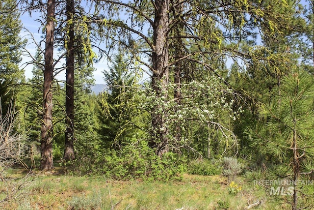 236 4th St, Cascade, ID 83611