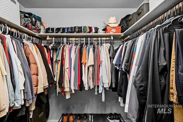 view of walk in closet