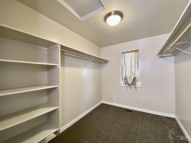 1756 N Hornback Ave, Star, ID 83669 - spacious closet with dark colored carpet