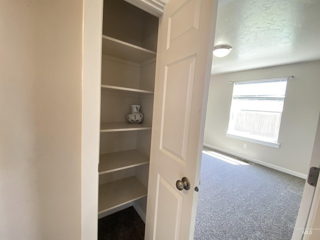 1756 N Hornback Ave, Star, ID 83669 - view of closet