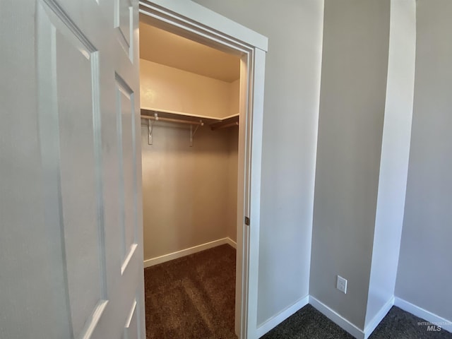1756 N Hornback Ave, Star, ID 83669 - spacious closet with dark carpet