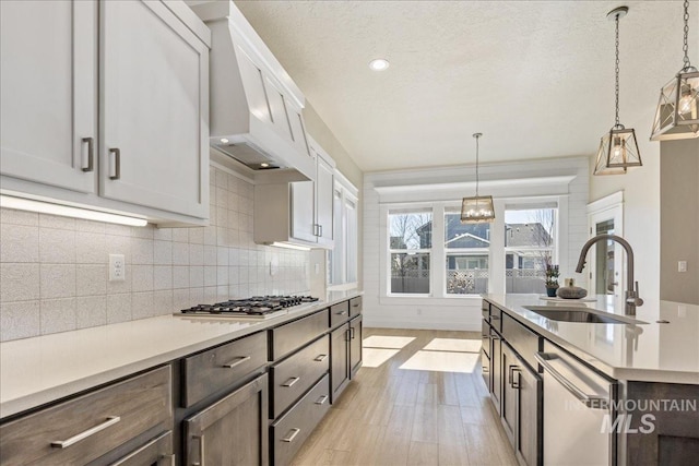 kitchen featuring stainless steel gas stovetop, decorative backsplash, a sink, premium range hood, and dishwasher