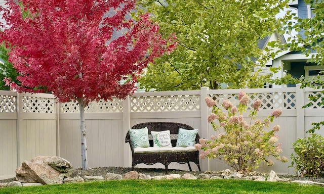 view of yard with a fenced backyard