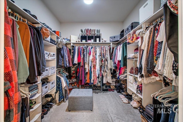 walk in closet featuring carpet floors