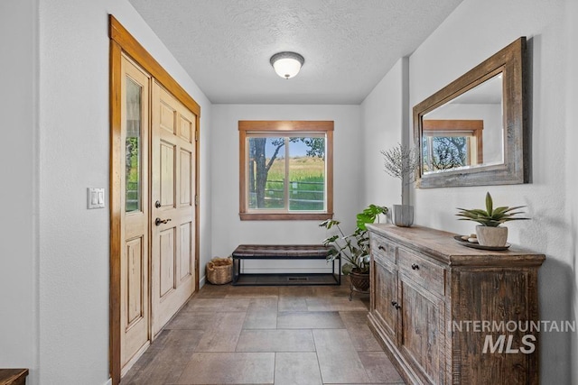 41 Knob Hill Dr, Mccall, ID 83638 - entrance foyer with a textured ceiling