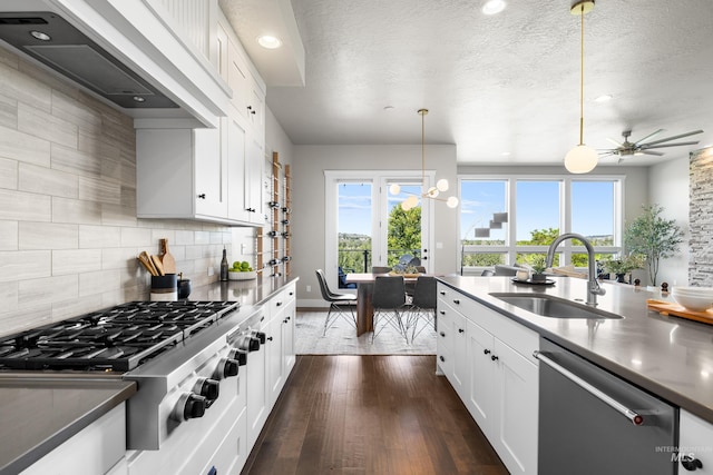 6799 E Warm Springs Ave, Boise, ID 83716 - kitchen featuring appliances with stainless steel finishes, a sink, custom exhaust hood, decorative backsplash, and plenty of natural light