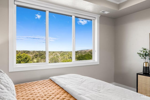 6799 E Warm Springs Ave, Boise, ID 83716 - bedroom featuring multiple windows